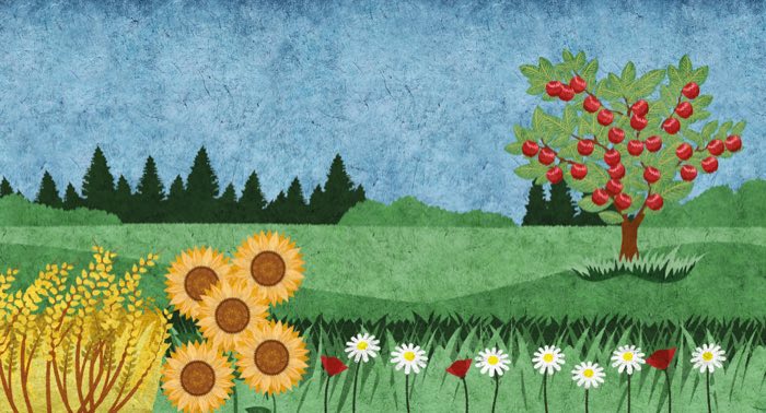 Textured illustration of flowers, sunflowers and a fruit tree, without the book’s text