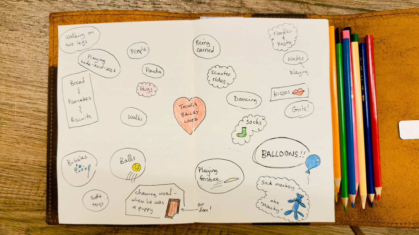 A handwritten brainstorm spread headed Things Bailey Loved, with a heart surrounded by notes about socks, balloons, walks, hugs, toys and food.