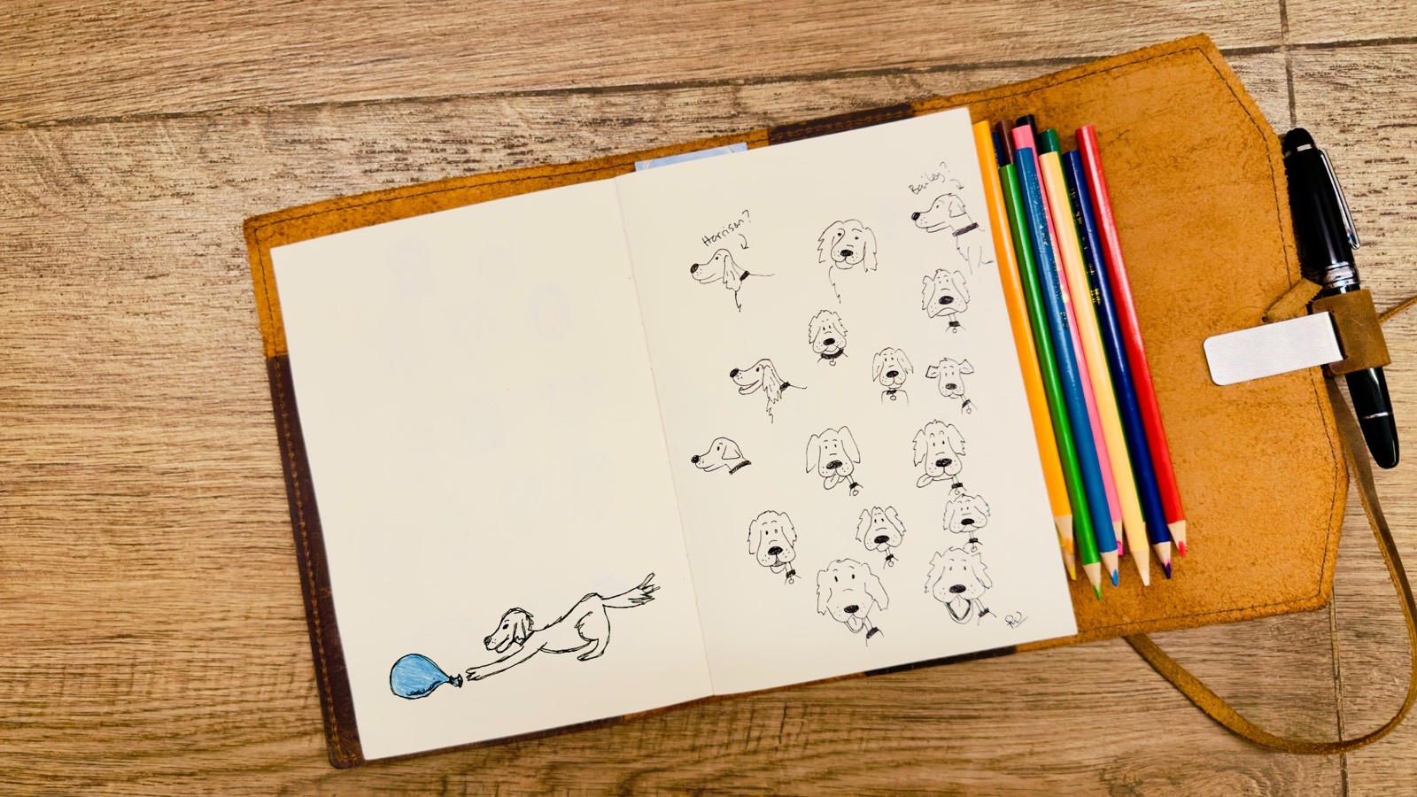 An open notebook with rough sketches of Bailey’s face, beside coloured pencils and a fountain pen on a wooden table.